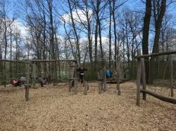Grethen_2017_210