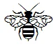 Bild zum Beitrag: Bienen-AG