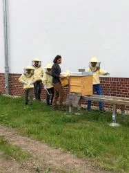 Bienen_AG_5