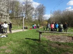 Grethen_2017_267