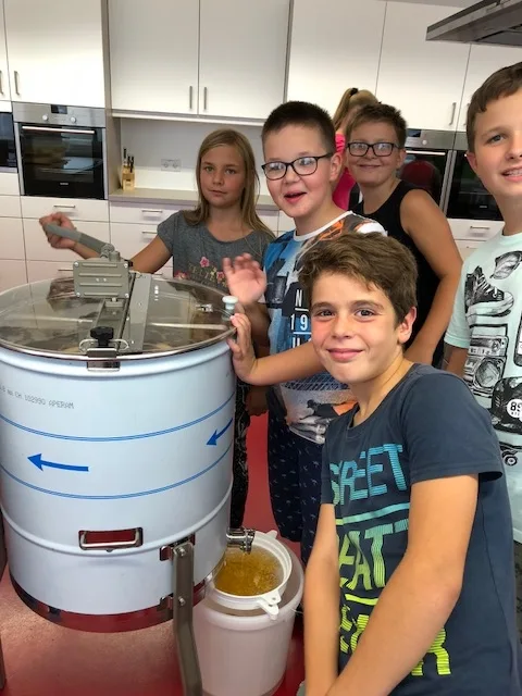 Bild zum Beitrag: Neues aus der Bienen-AG