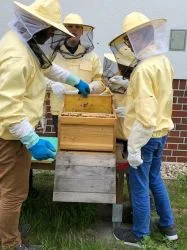 Bienen_AG_7