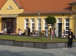 Projekt_2016_62