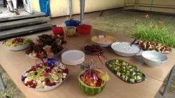 Bild 113