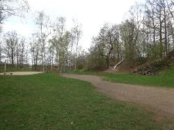 Grethen_2017_101