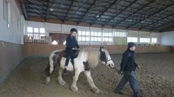 Gesundes_Leben_09