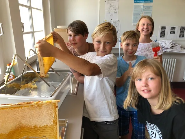 Bild zum Beitrag: Bienen-AG