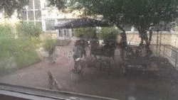 Bild 193