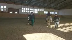 Gesundes_Leben_07
