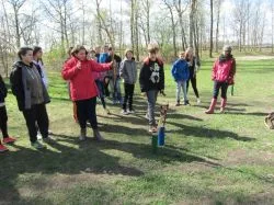 Grethen_2017_441