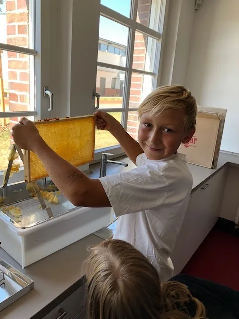 Bild zum Beitrag: Bienen-AG